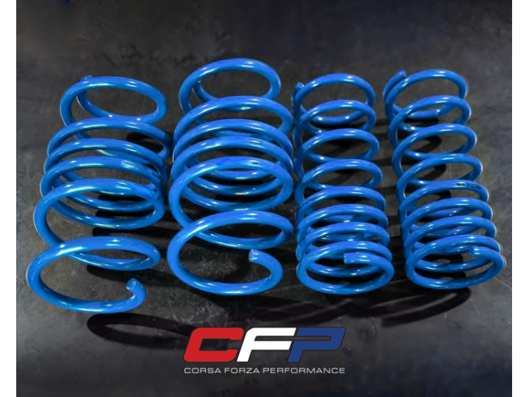 FIAT 500 Lowering Springs - Sportiva by Corsa Forza Performance